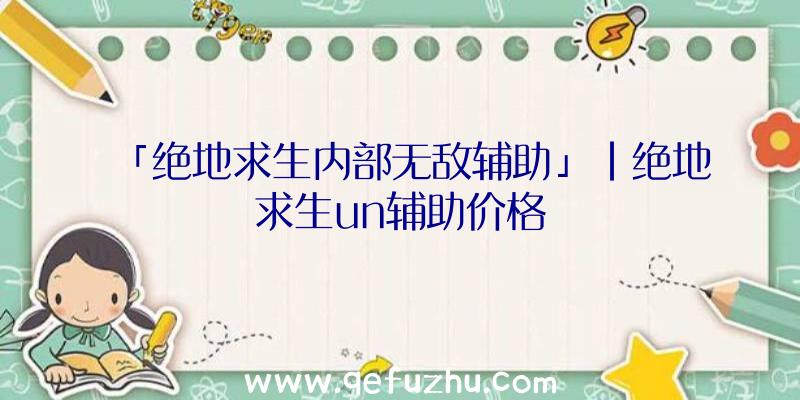 「绝地求生内部无敌辅助」|绝地求生un辅助价格